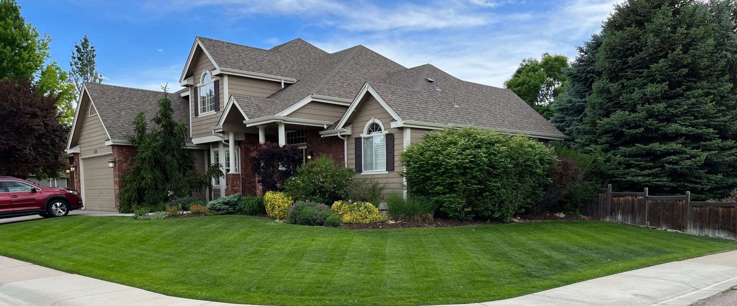 Custom Full Service Plans